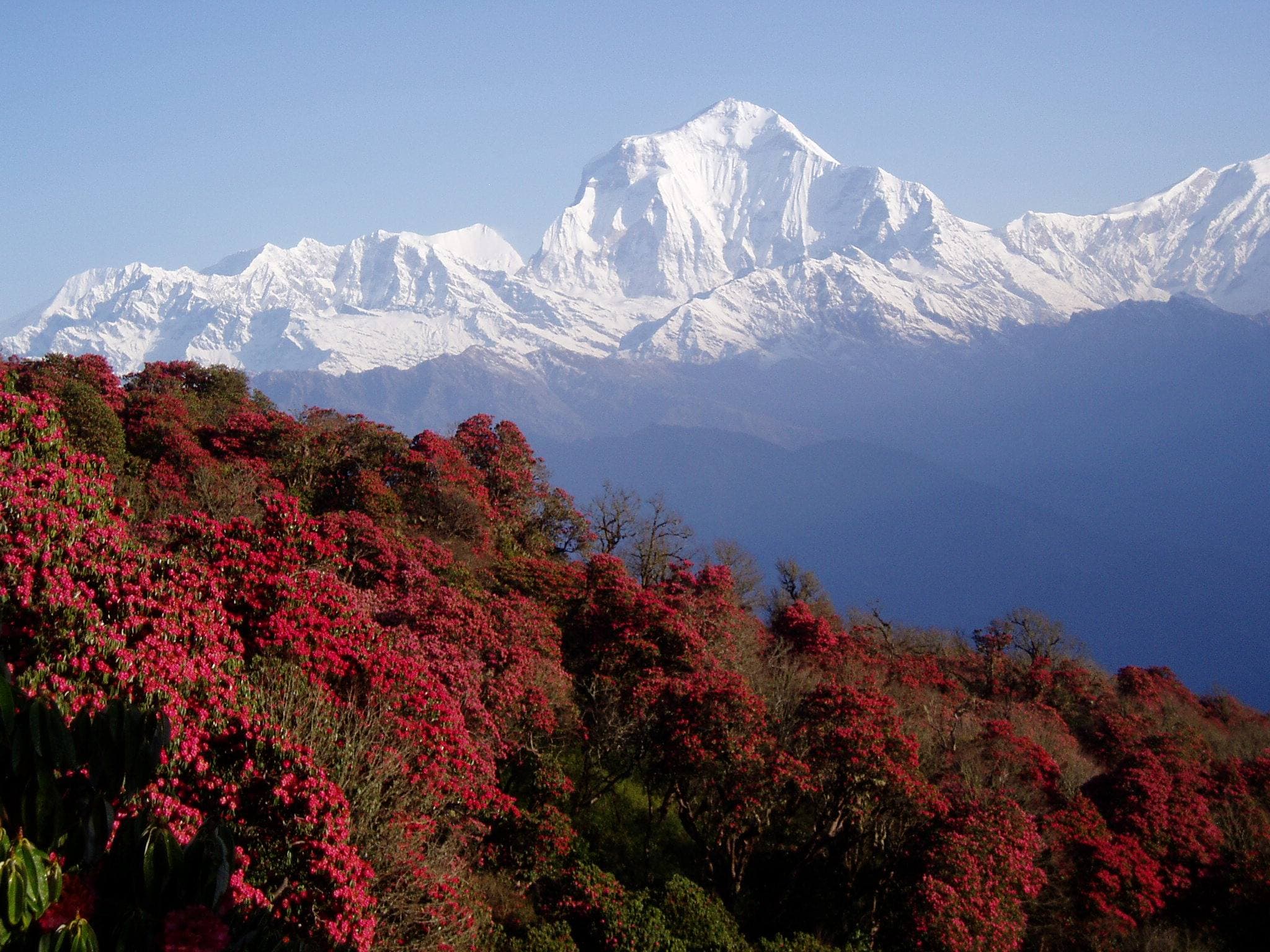 Past treks in Nepal