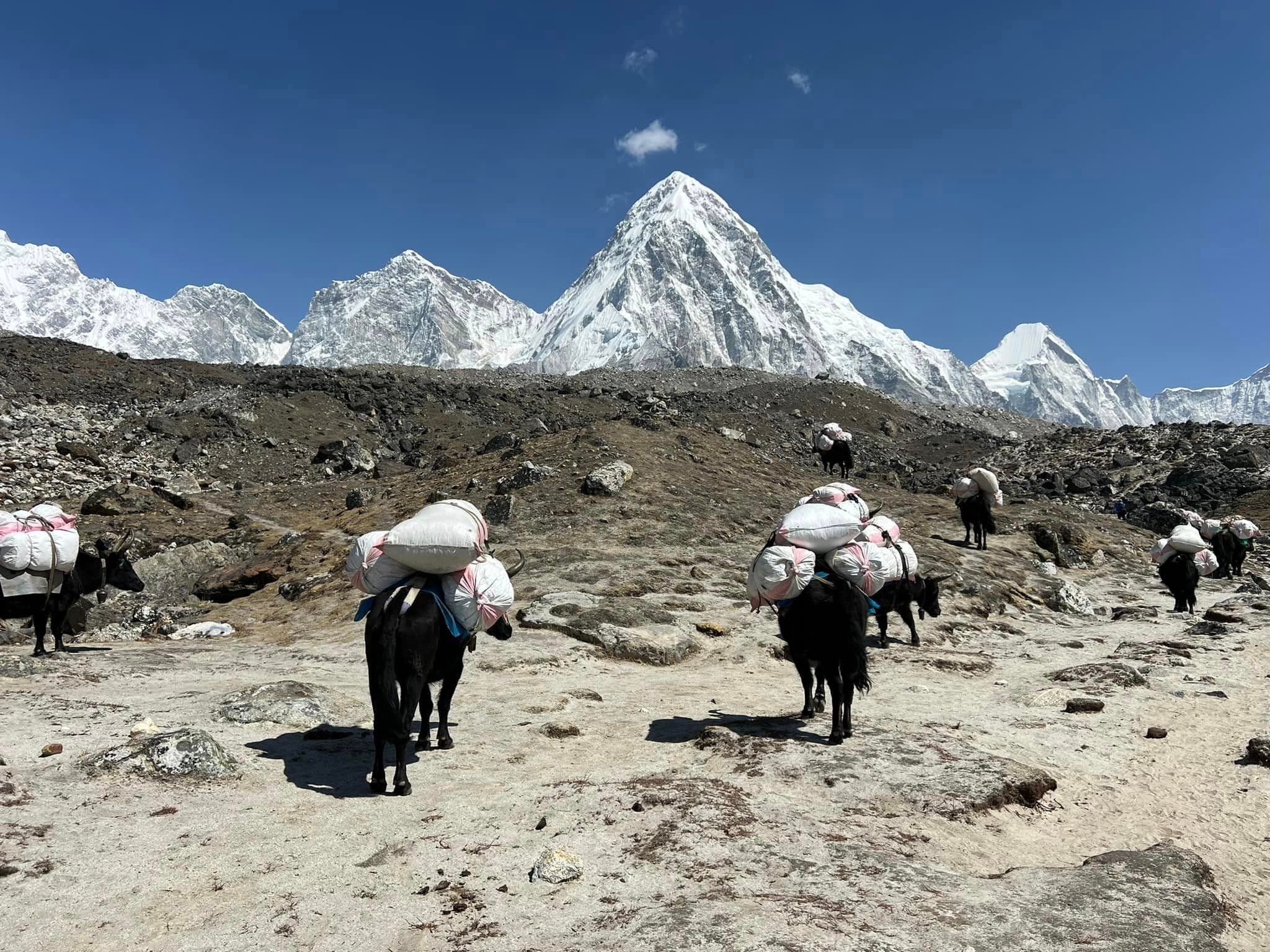 Everest Base Camp Trek photo 5