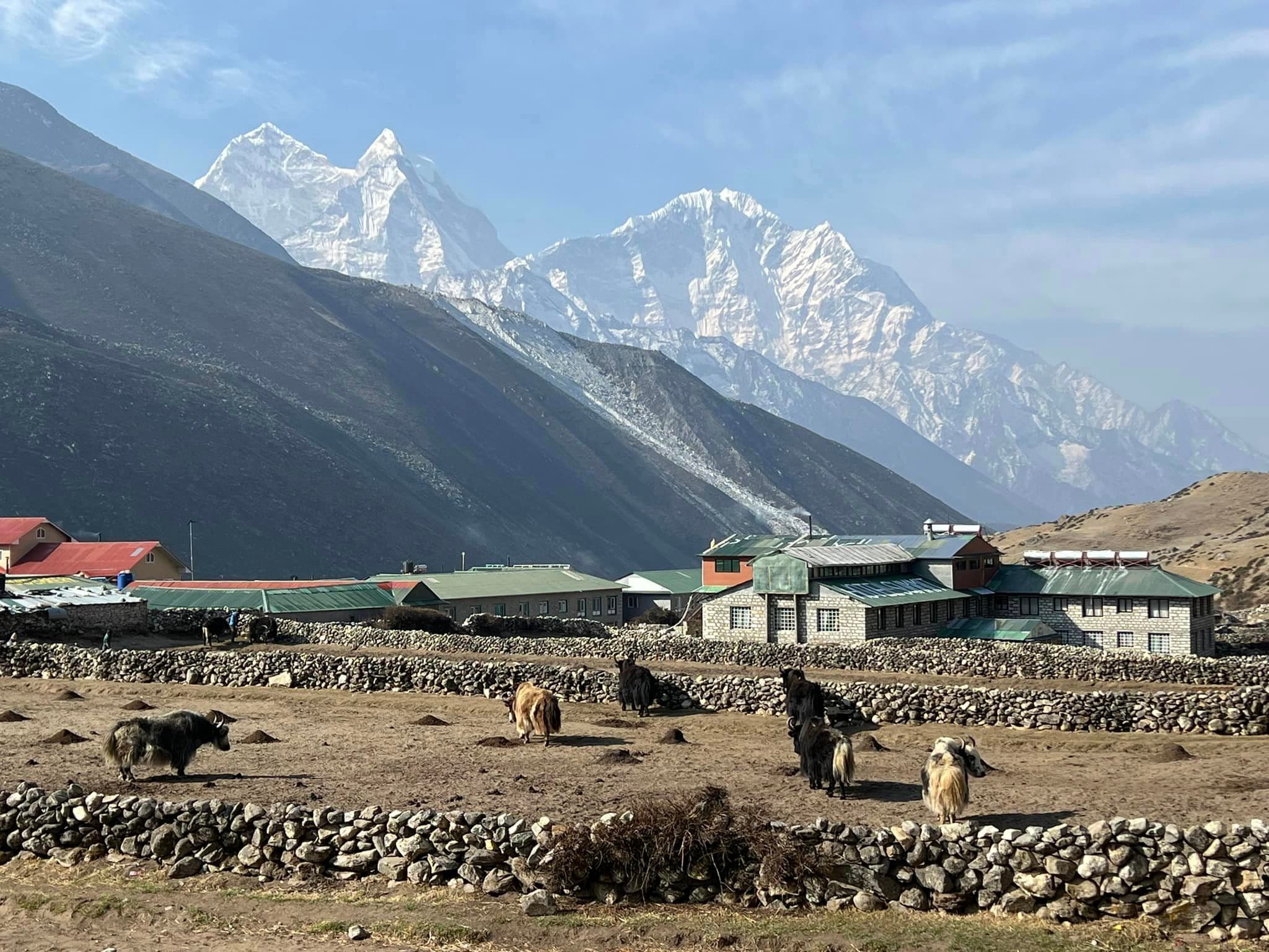Everest Base Camp Trek photo 9